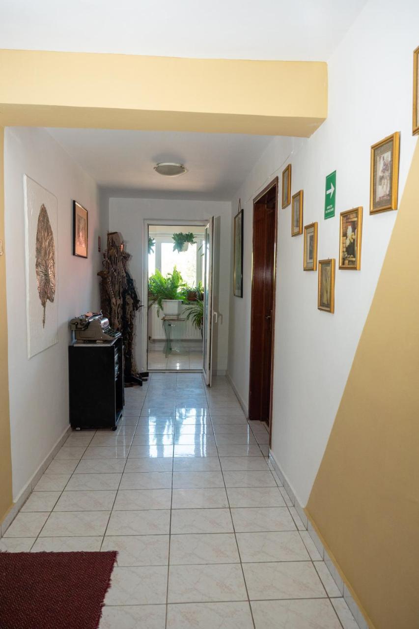 Pension Motanul Galanton Снагов Экстерьер фото